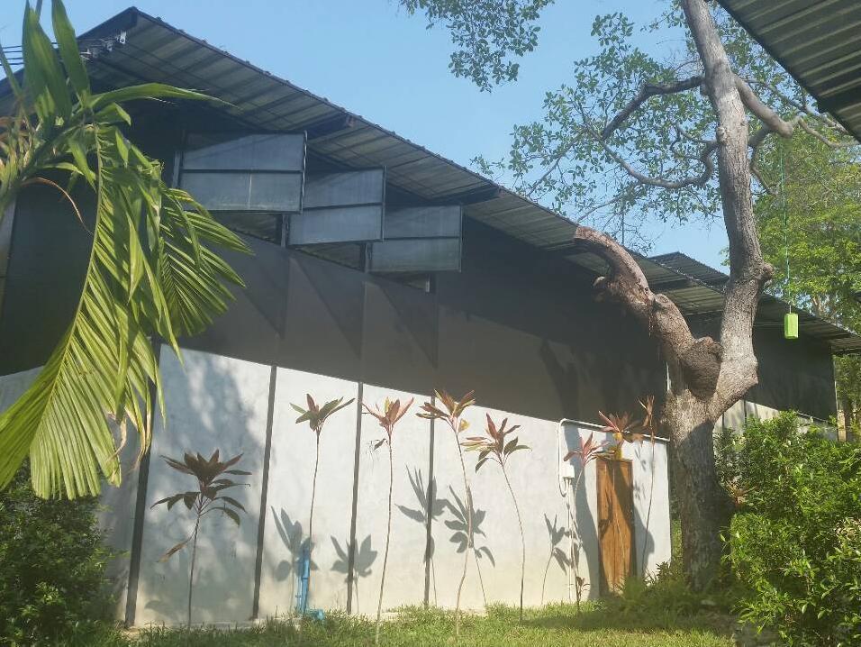 Himmapan Resort Koh Phayam Exterior photo